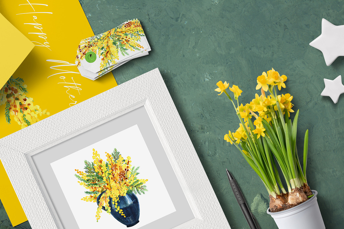 Yellow Mimosa Sunshine, an Illustration by Olga Koelsch (Photo 3 of 7)