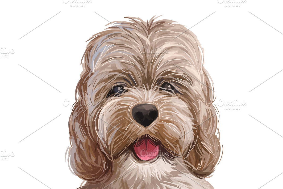 Dogs Cross Breeds 56 Animals Bundle, an Animal Illustration by Dneprstock (Photo 2 of 55)