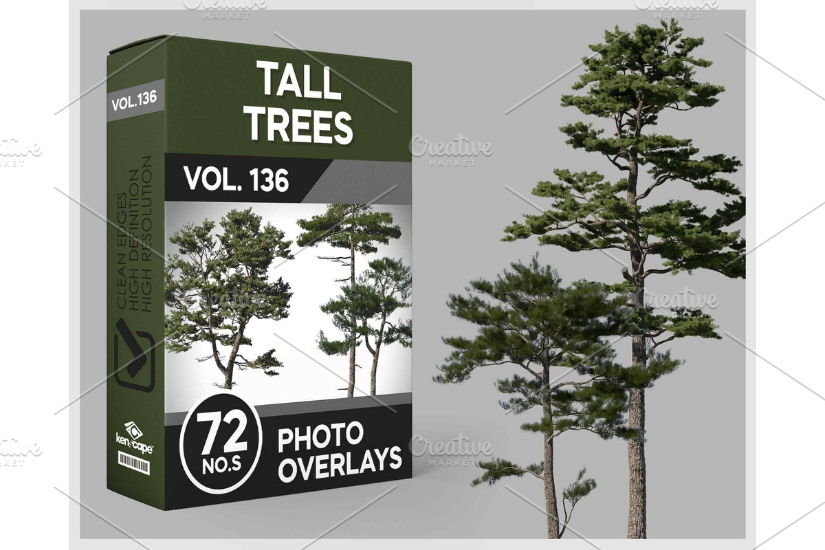 72 Tall Trees Photo Overlays, a Person Photo by KenScape (Photo 1 of 4)