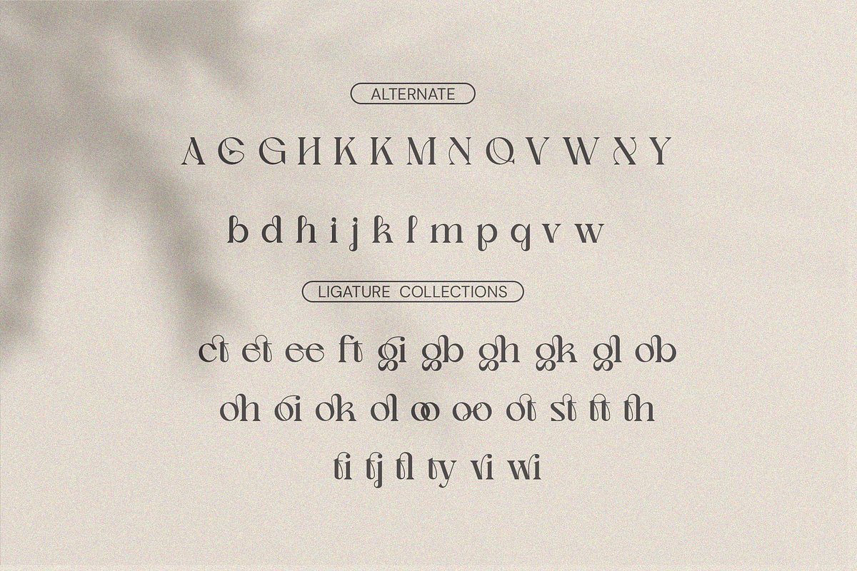 Nagishe Soinetha Moderen & Elegance, a Serif Font by BOOSH Studio (Photo 11 of 13)