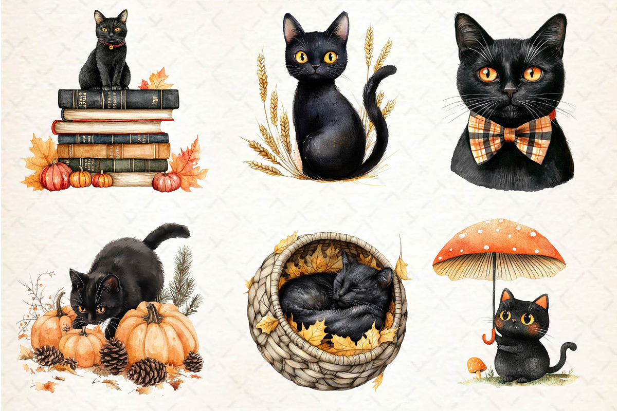 Fall Autumn Black Cat Clipart, an Illustration by Dream Creation (Photo 3 of 6)