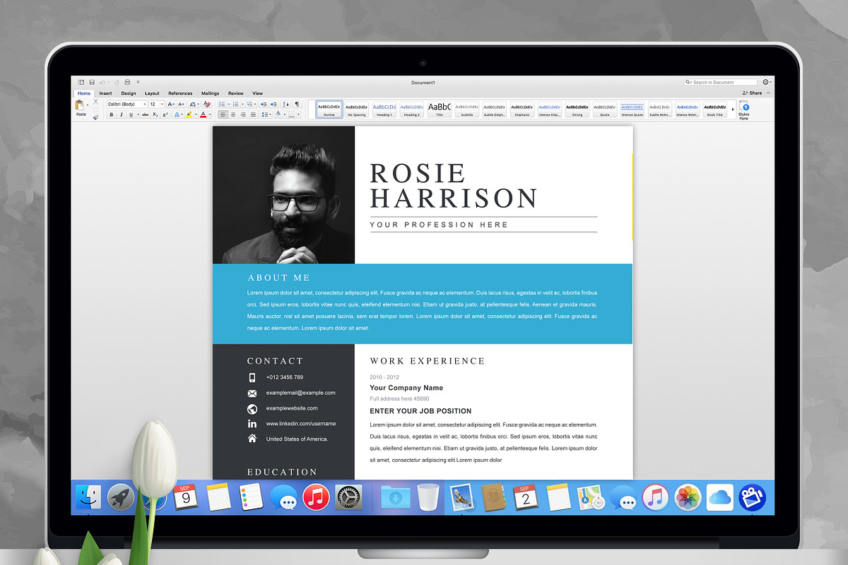 Creative Resume Template For Ms Word