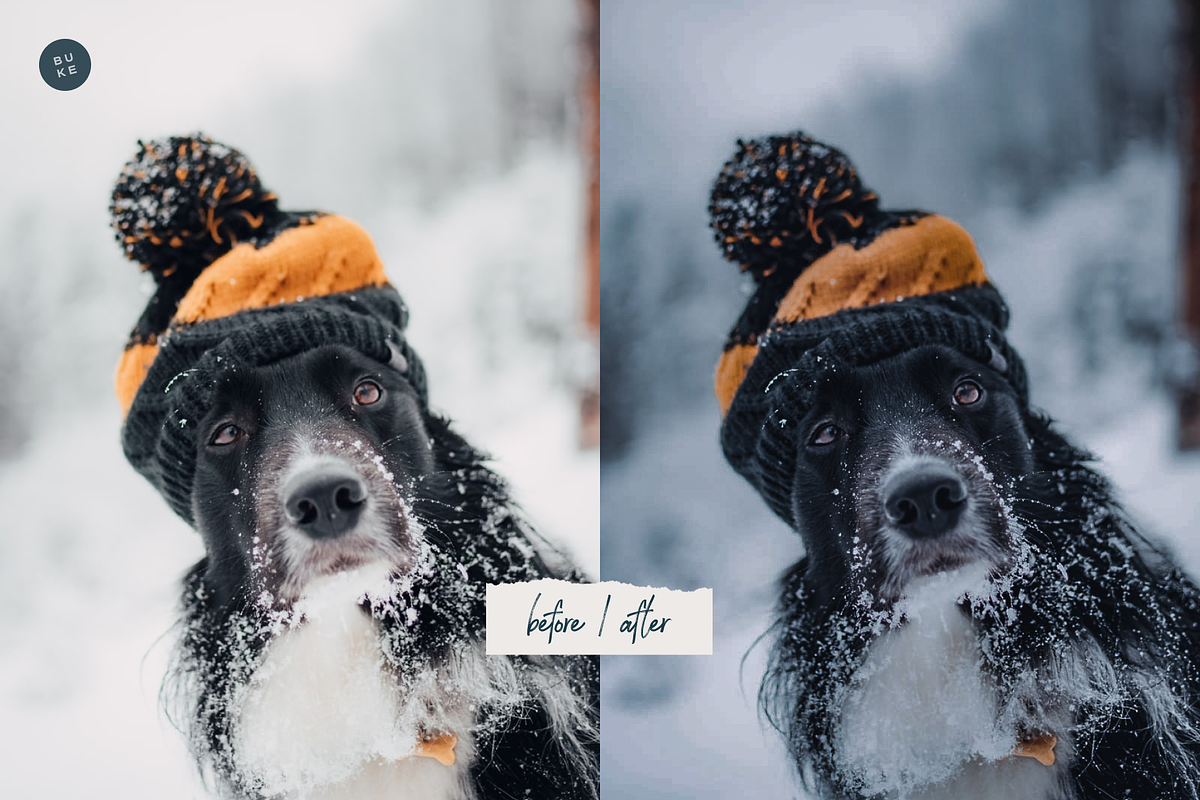 4 Moody Christmas Presets Pack, a Preset Add-On by SHOOM HOUSE (Photo 7 of 8)