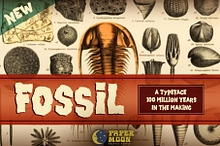 Fossil-Handmade Font & Bonus Posters