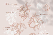 Australian Botanicals 4 in 1 Bundle, a Decorative Illustration by rouxsupplyco (Thumbnail 21 of 25)