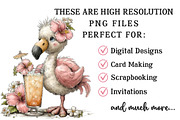 Whimsical Summer Tropical Birds Clip, an Illustration by OK Design (Thumbnail 4 of 6)