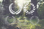 16 Handsketched Vector Laurels, an Illustration by Layerform Design Co. (Thumbnail 3 of 3)