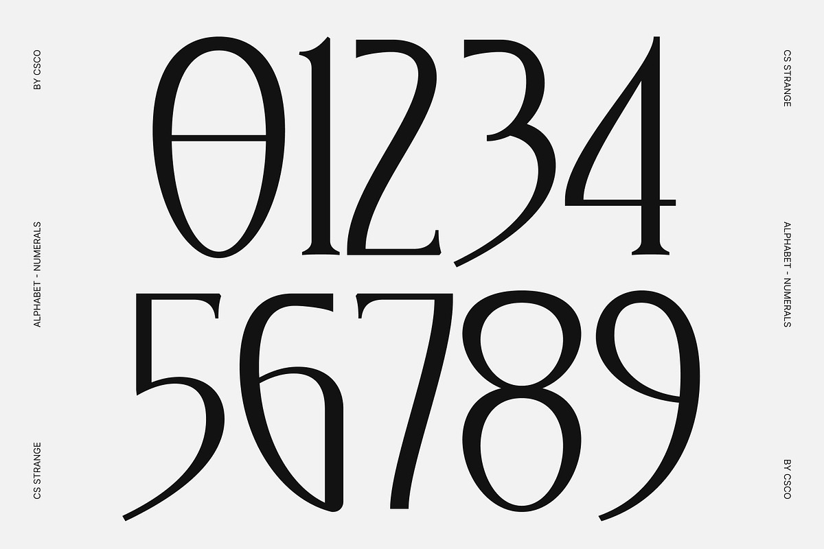 CS Strange – Modern Serif Font, a Serif Font by Craft Supply Co. (Photo 5 of 8)
