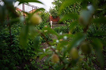 Child playing in a lush garden surrounded by greenery and trees, a Person Photo by AS photostudio