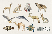 Watercolor Saudi Arabia Clip Arts, an Animal Illustration by Tati Bordiu (Thumbnail 2 of 5)