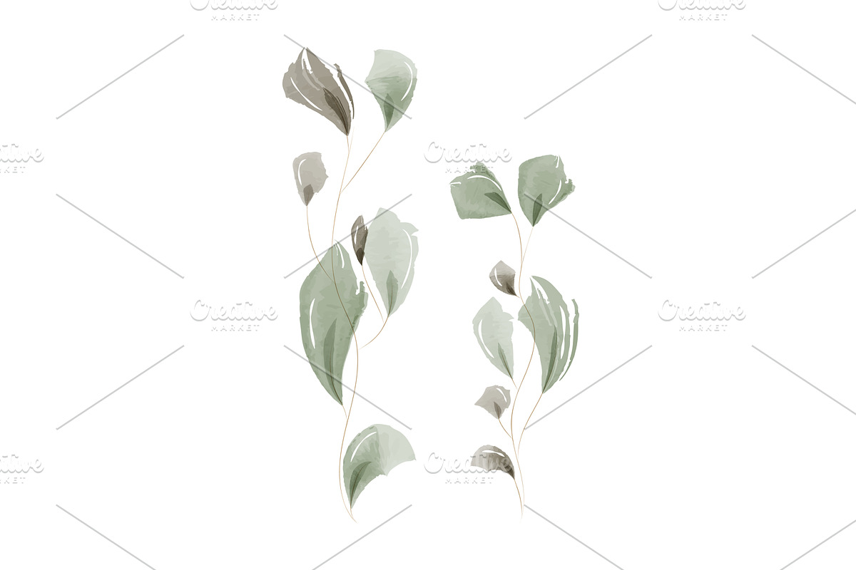 Delicate watercolor botanical leaves, an Illustration by okskukuruza