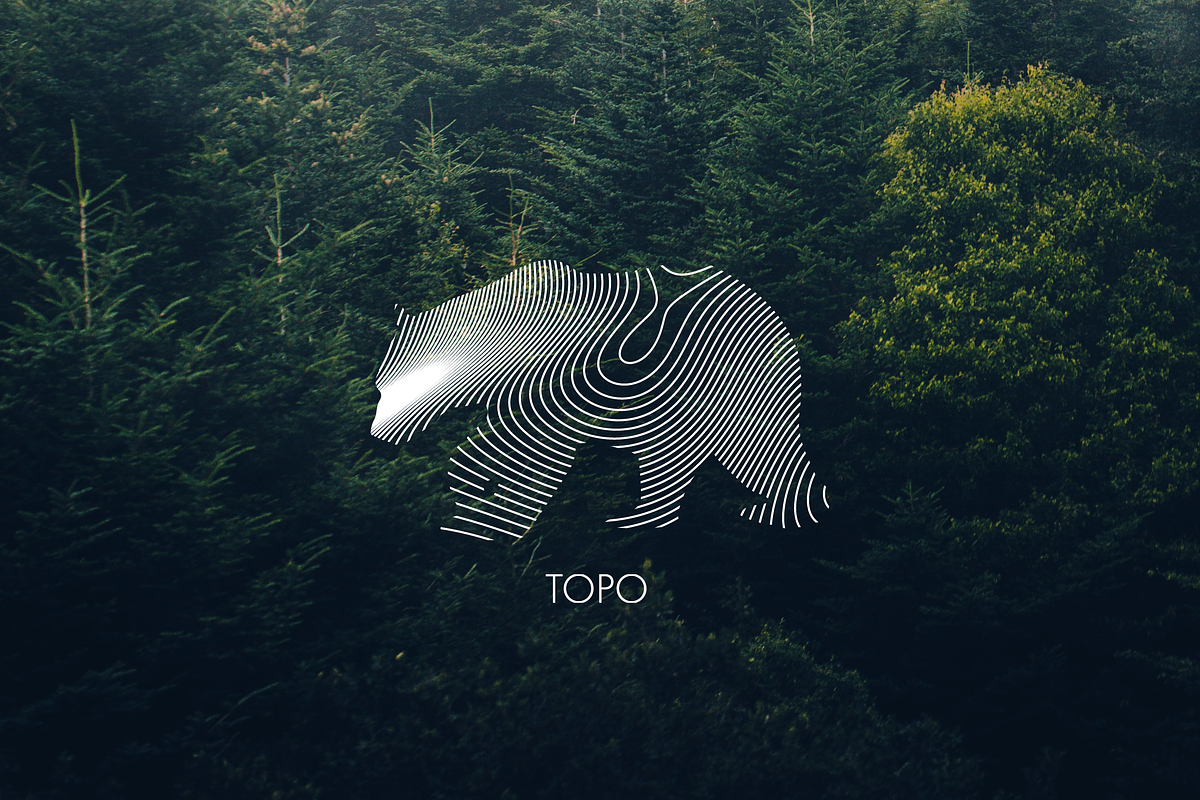 TOPO - Abstract Vector Designs, an Object Graphic by ME_COLLAGE (Photo 5 of 21)