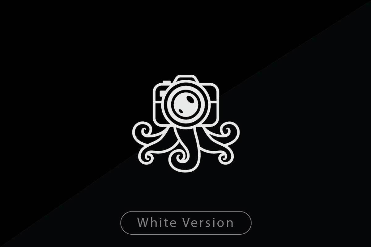 Octopus Camera Logo Template, a Branding & Logo Template by Heavtryq Design (Photo 4 of 4)