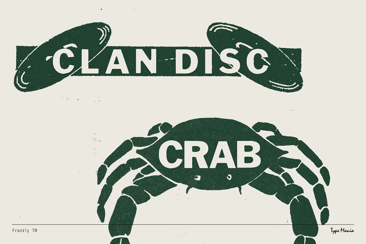 Frankly TM – Rugged Misprint Font, a Sans Serif Font by Type Mania (Photo 9 of 11)