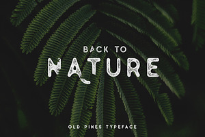 Old Pines Vintage Type