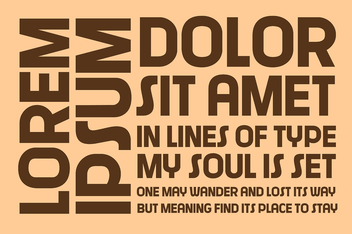 Bauxify, a Sans Serif Font by graphicook (Photo 6 of 10)