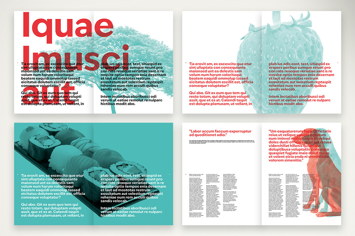 Bold and Modern Aesthetic Magazine, a Print Template by McLittle Stock (Photo 3 of 5)