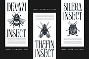 Baquine || Classy Serif Display Font, a Serif Font by Ermedia Studio (Thumbnail 4 of 10)