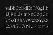 Evoxsy | Elegant Serif, a Serif Font by gracetype_studio (Thumbnail 10 of 12)
