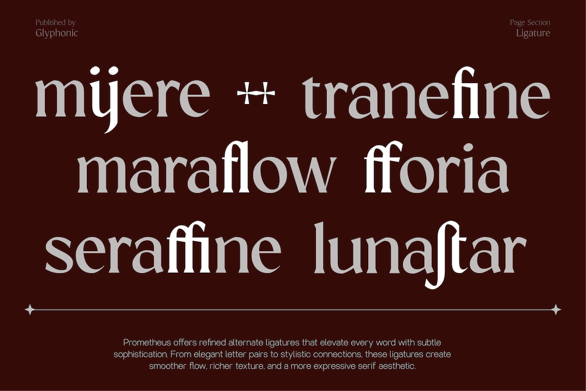 GC Prometheus – Serif Family, a Serif Font by Glyphonic (Photo 3 of 15)