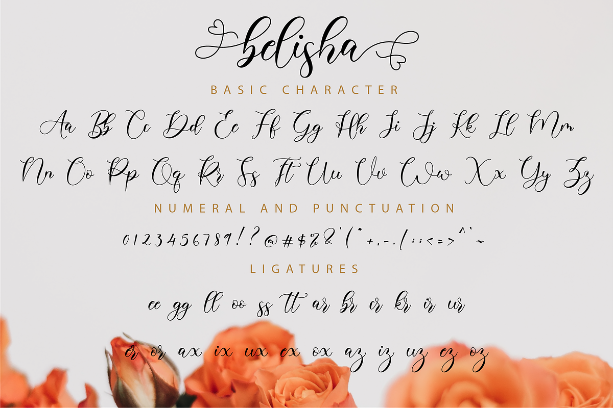 Belisha - A Lovely Script Font, a Script Font by Nissa Studio (Photo 11 of 12)