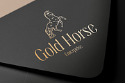 Aqila - Condensed Luxury Font, a Serif Font by Sensatype (Thumbnail 3 of 12)