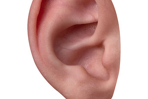 Close-up of a human ear isolated on white background, showing natural skin text, a Person Photo by Ales Munt