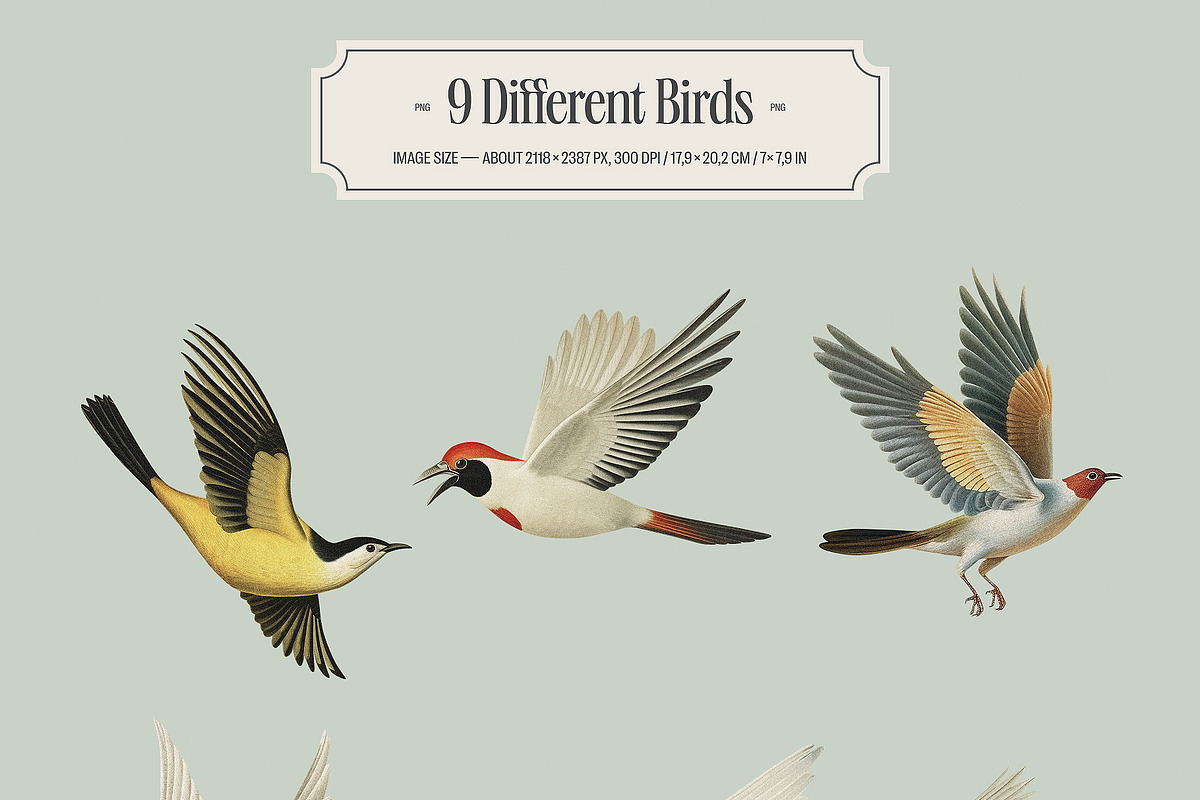 Swallows - vintage illustrations, an Animal Illustration by AI Crafted Magnolia (Photo 8 of 13)