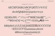 CS Reggie Drawn, a Serif Font by Craft Supply Co. (Thumbnail 8 of 8)
