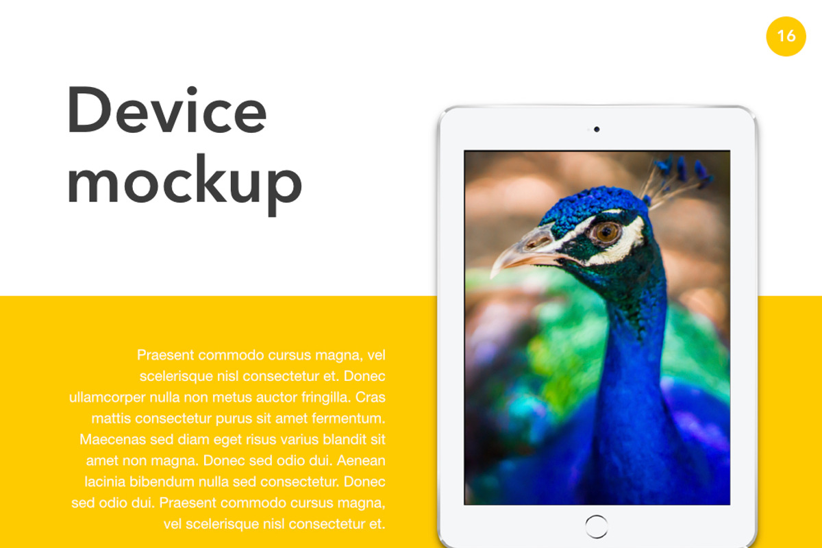 Add Color PowerPoint Template, a Presentation Template by Jumsoft (Photo 14 of 21)