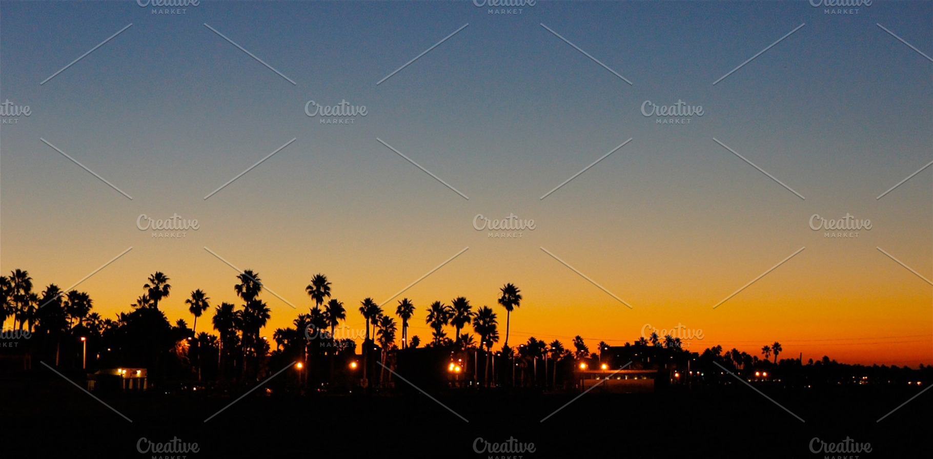 Sunrise Palms Stock Photo Containing Sunrise And Blue