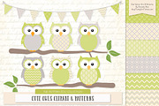 Owls Clipart & Patterns in Bamboo, an Animal Illustration by Amanda Ilkov (Thumbnail 1 of 4)
