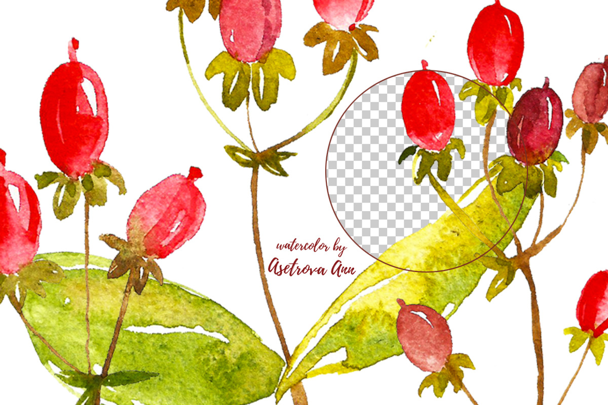 Watercolor berry, a Food Illustration by Ann Astro (Photo 3 of 5)
