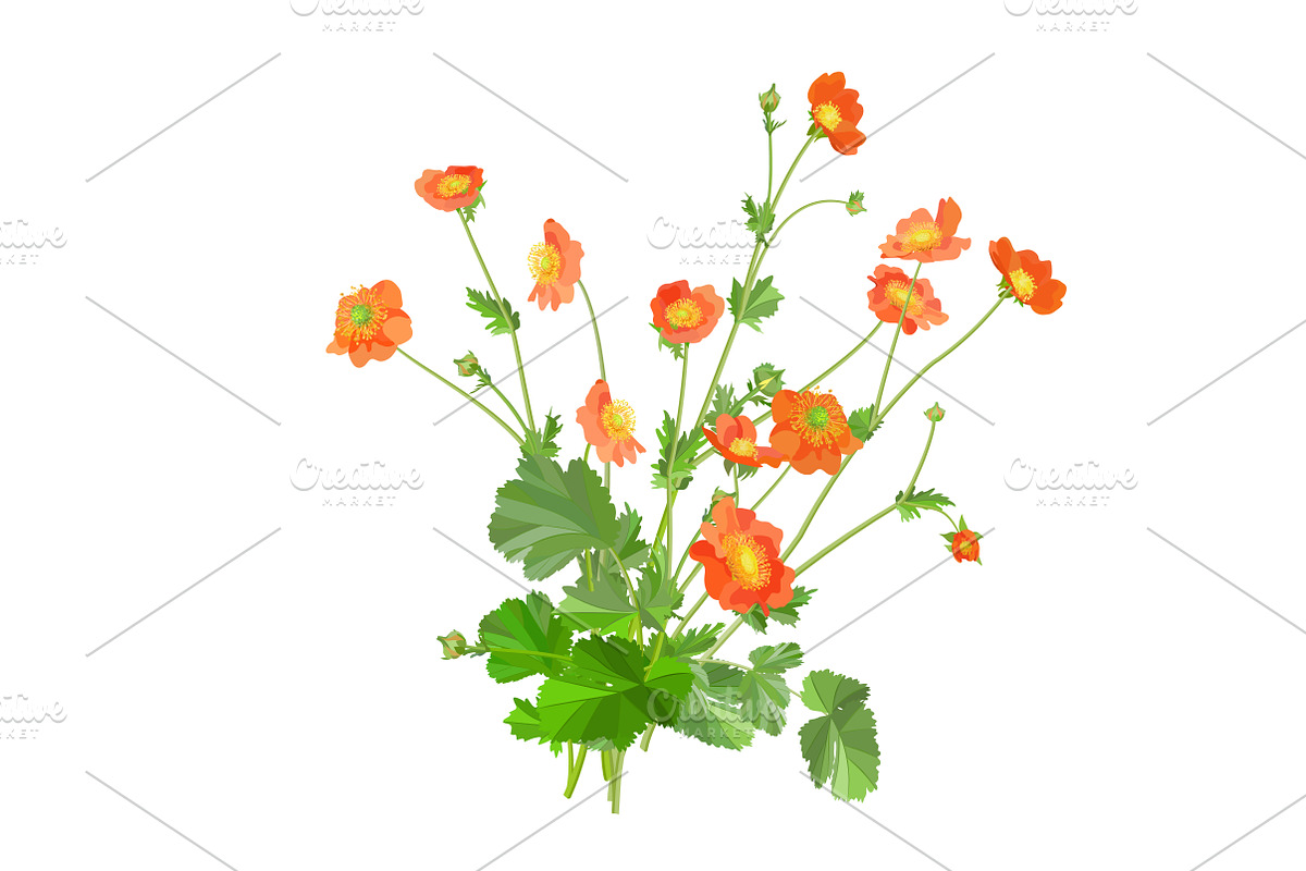 Vector object brushes. Geum., a Brush Add-On by Peolla (Photo 10 of 14)