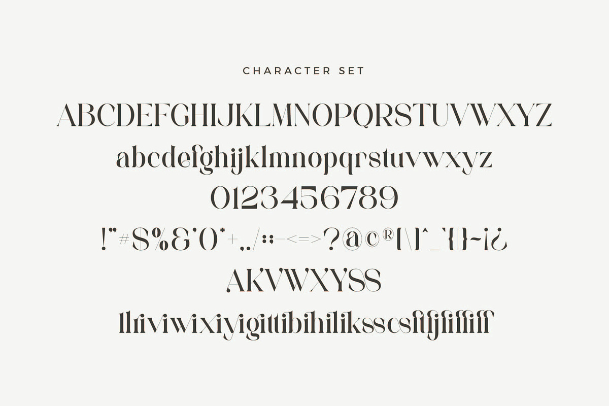 Valleri - Elegant Serif Font, a Serif Font by Aqeel_Art (Photo 10 of 10)