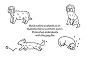 Cute doodle Cockerpoo dogs, an Animal Illustration by Liz Pengilley Studio (Thumbnail 2 of 4)