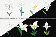 Easter Lily Clipart, a Graphic by Artnoy (Thumbnail 2 of 5)