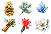 Festive Florals & Pinecones Clipart, an Illustration by Daily.Designs (Thumbnail 4 of 5)