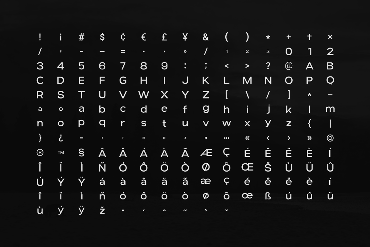 Stark Nue - a Premium Sans-serif, a Sans Serif Font by Webhance Studio (Photo 9 of 10)