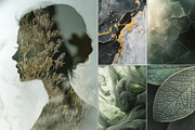 Sage & Stone: 35 Organic Textures, a Texture Illustration by Nadia Semyroz (Thumbnail 3 of 10)