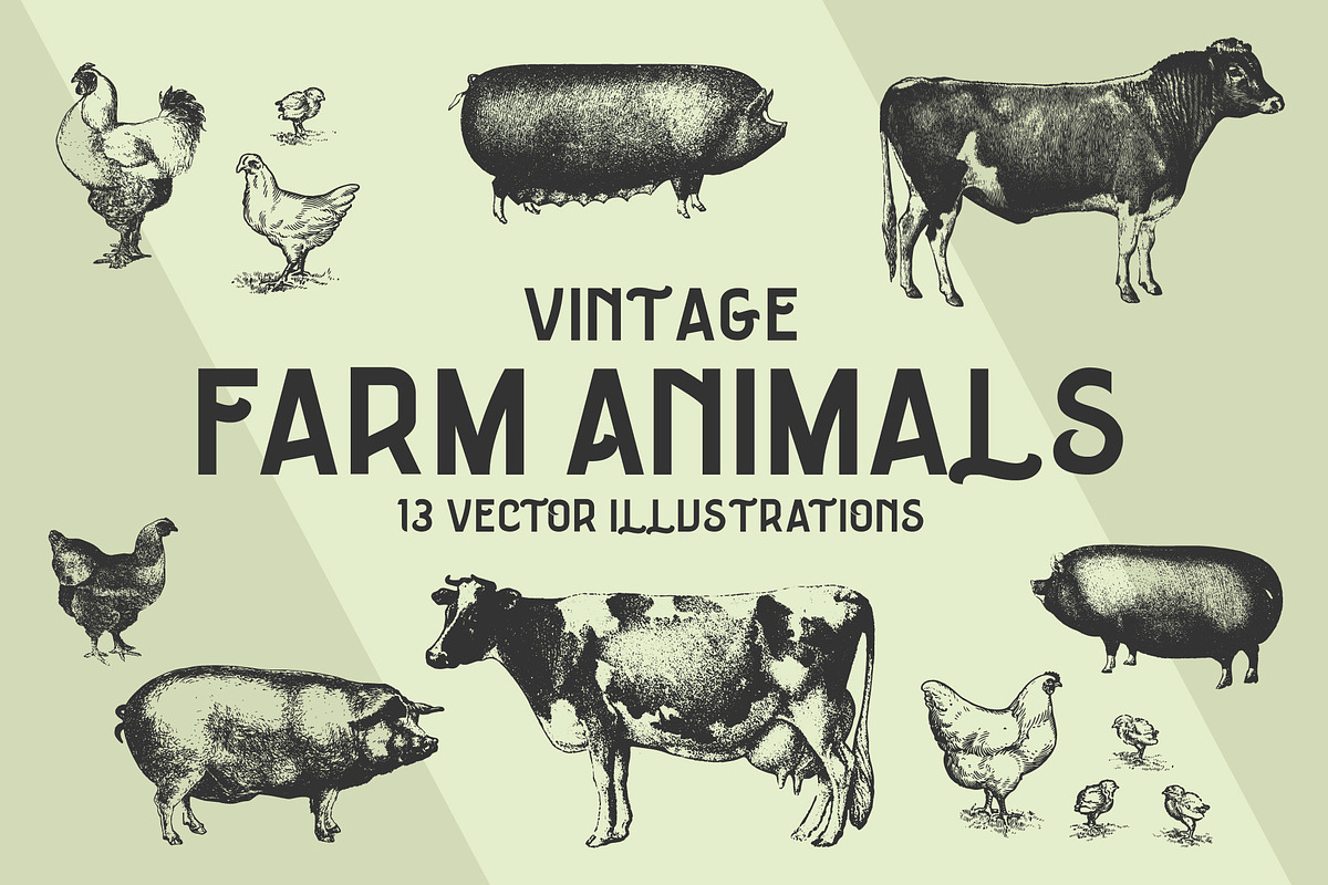 FARM ANIMALS | 13 Vectors, an Animal Illustration by Britt & Kit (Photo 1 of 2)