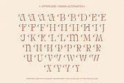 AQREAMIG — Luxury Ligature Serif, a Serif Font by Enxyclo Studio (Thumbnail 16 of 25)