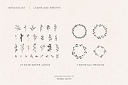 Botanical Illustration Bundle, an Illustration by Studio Edyth (Thumbnail 2 of 8)