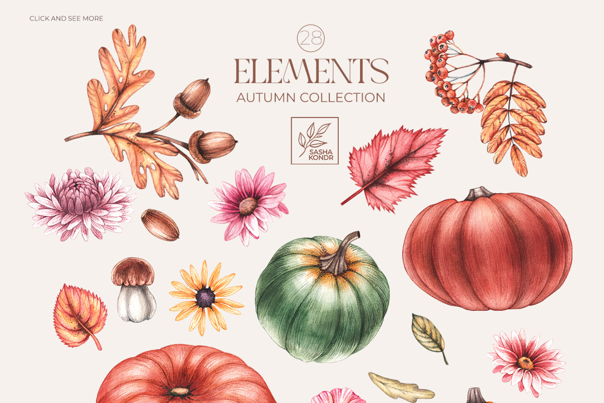 Autumn Watercolor floral collection, a Decorative Illustration by SashaKondr (Photo 16 of 20)