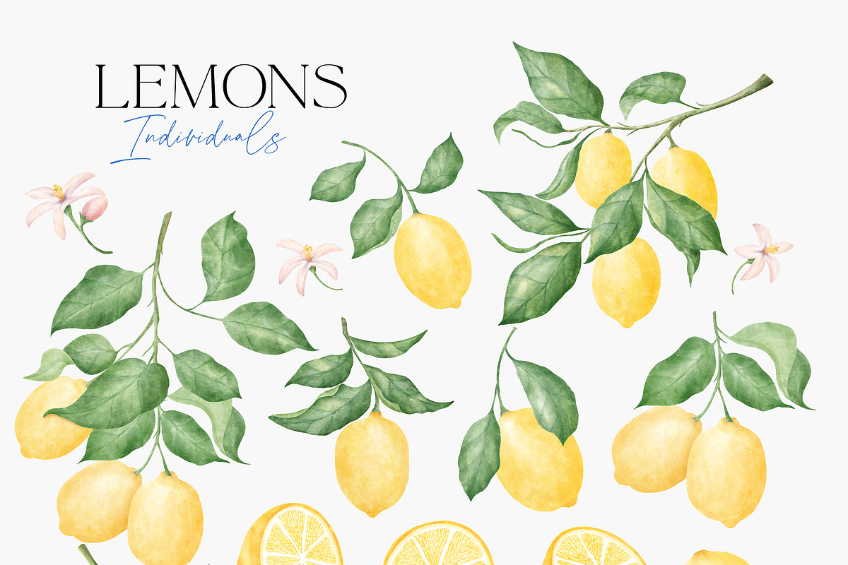 Italian Graphic Bundle, a Decorative Illustration by Corina Moscu (Photo 2 of 16)