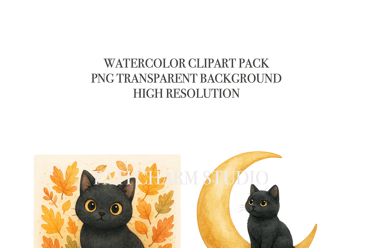 18 Black Cat Clipart, an Animal Illustration by Pati Charm Studio (Photo 5 of 8)