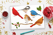 Winter Birds Christmas Clipart, an Animal Illustration by The Digital Download Shop (Thumbnail 2 of 3)