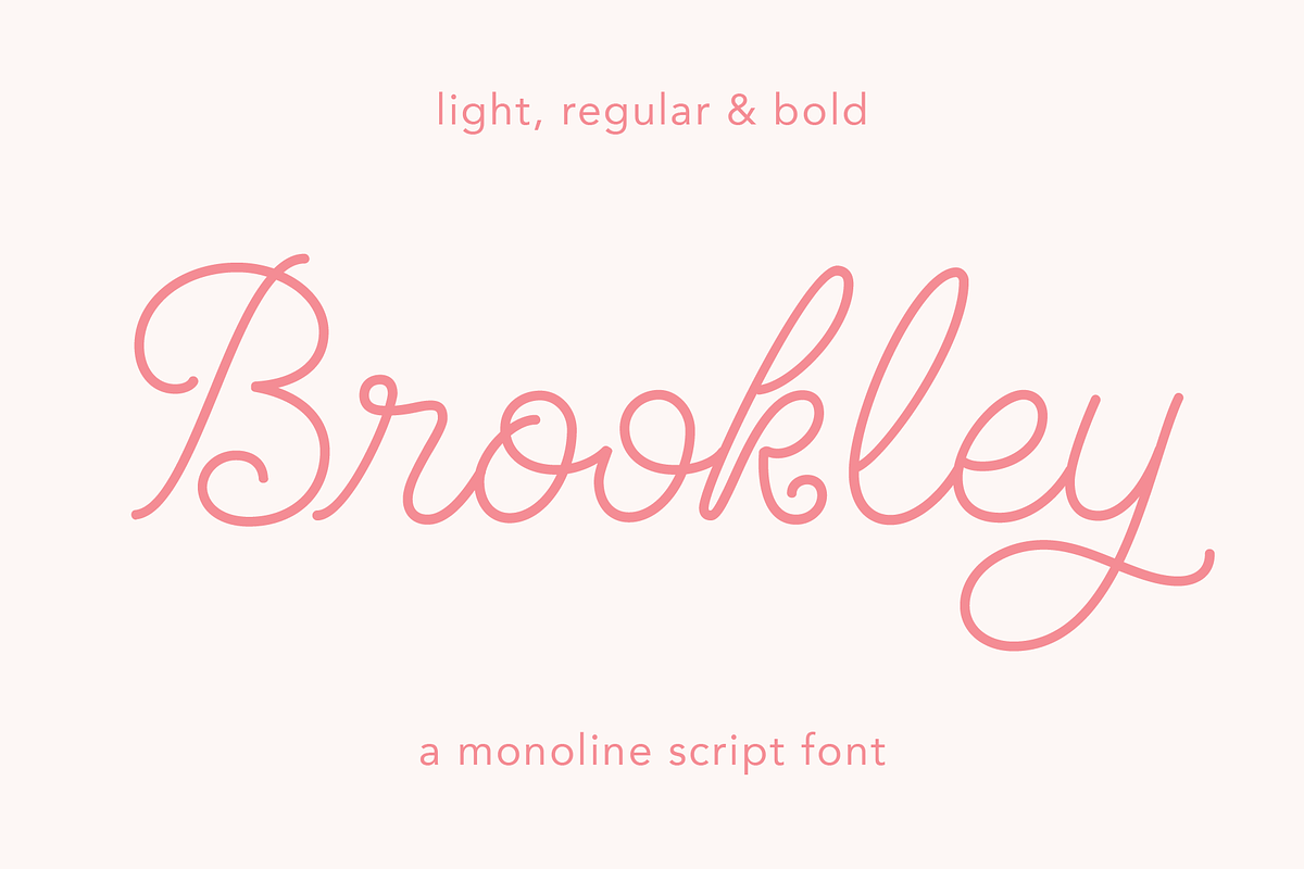 Brookley - Monoline Script Font, a Script Font by Danielle Eneh (Photo 1 of 12)
