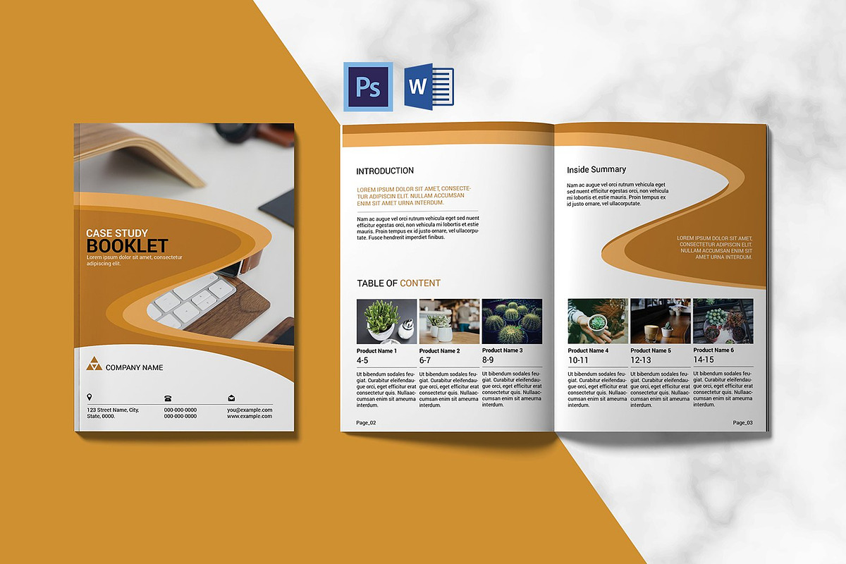 Case Study Brochure Template, a Brochure Template by retrographix (Photo 1 of 4)