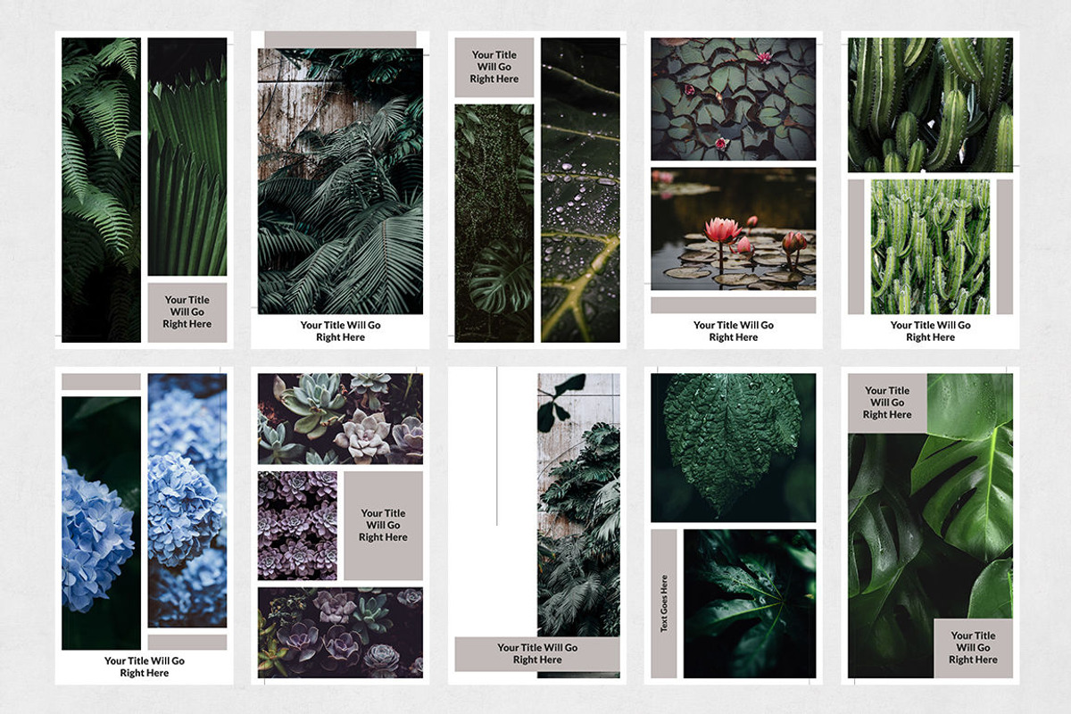 Nature Animated Instagram Stories, a Social Media Template by Social Corner Graphics (Photo 9 of 9)